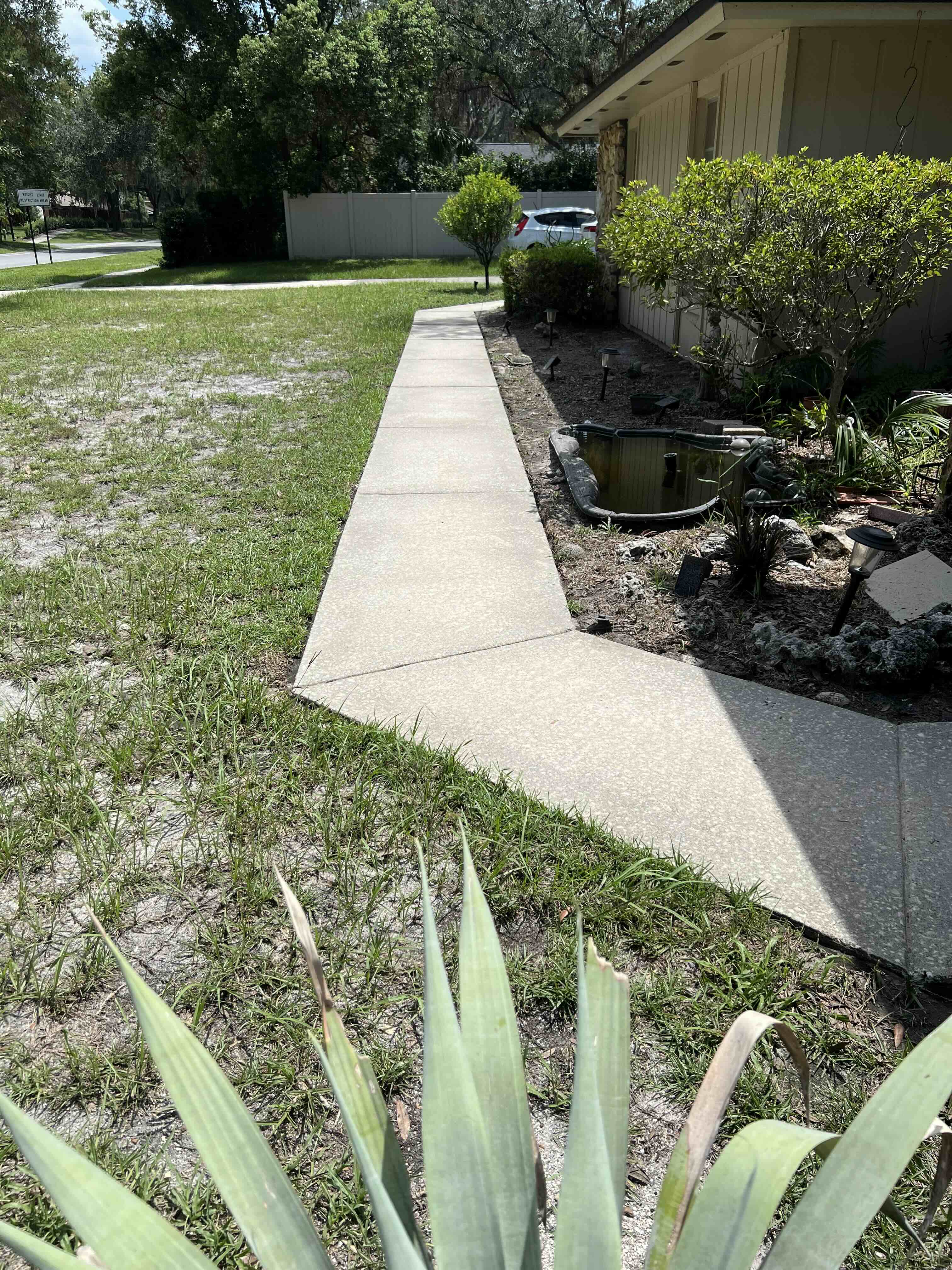 Walkway after pressure washing