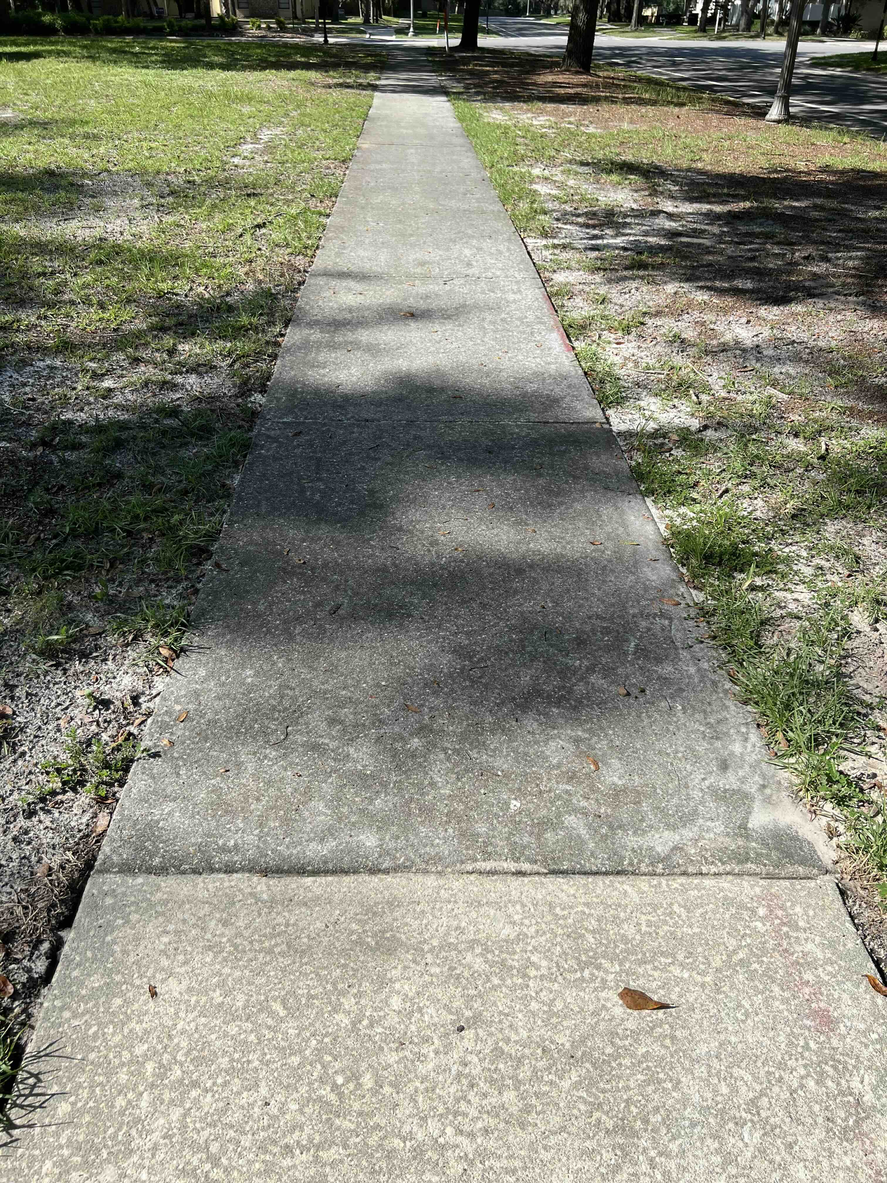 Sidewalk before pressure washing
