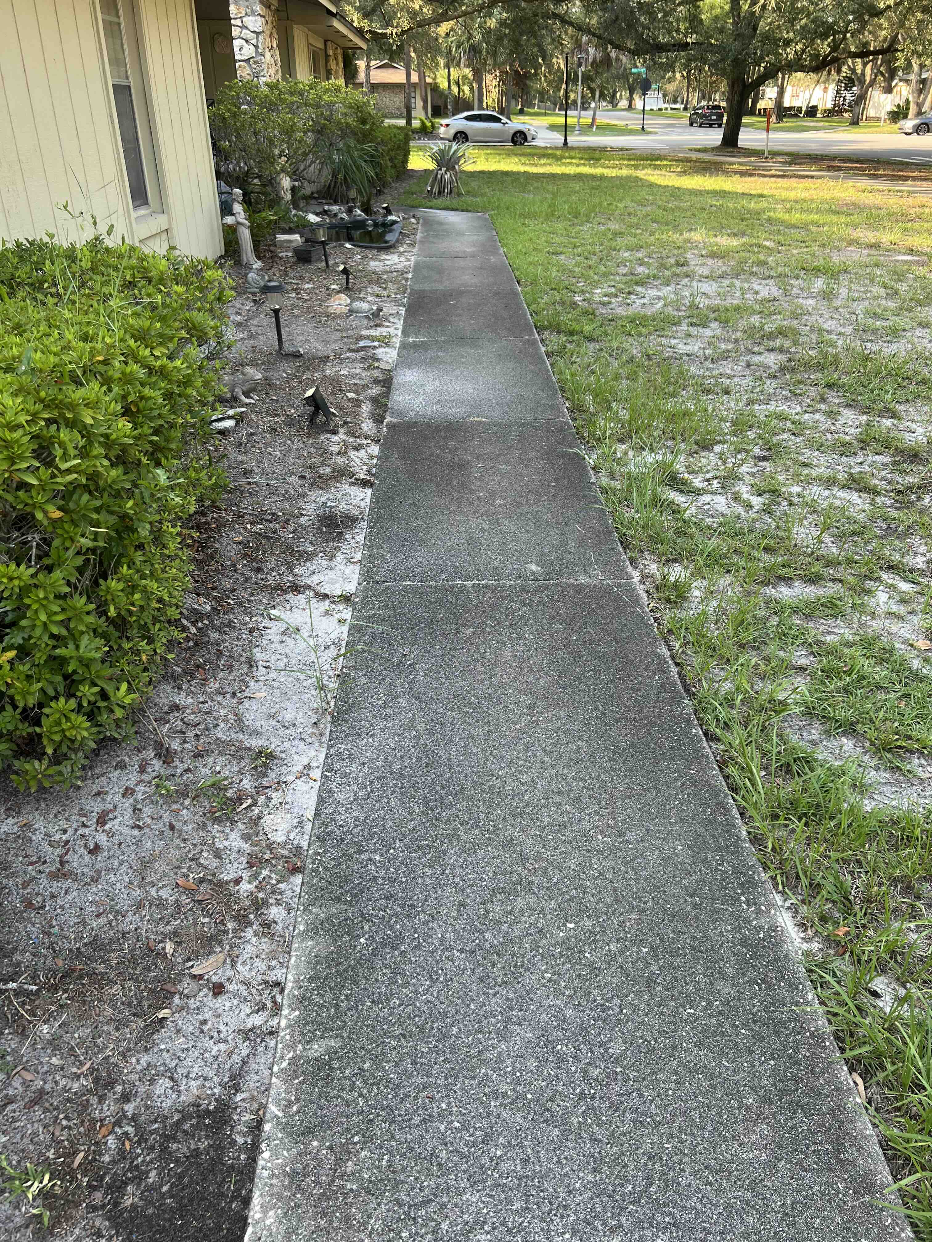 Walkway before pressure washing